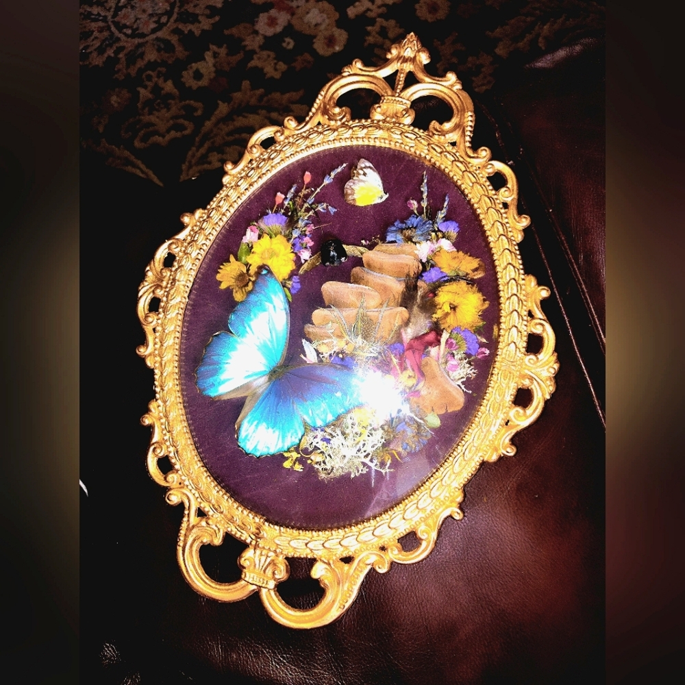 Real Taxidermy W/ Butterflies & beetle in Convex Frame! Cottagecore; Blue Morpho